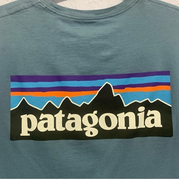 Patagonia Men’s P-6 Logo Responsibili-Tee Organic Cotton - Picture 3 of 4
